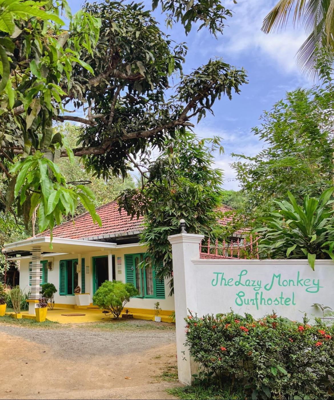 Lazy Monkey Surfhostel - Sri Lanka Dikwella Luaran gambar