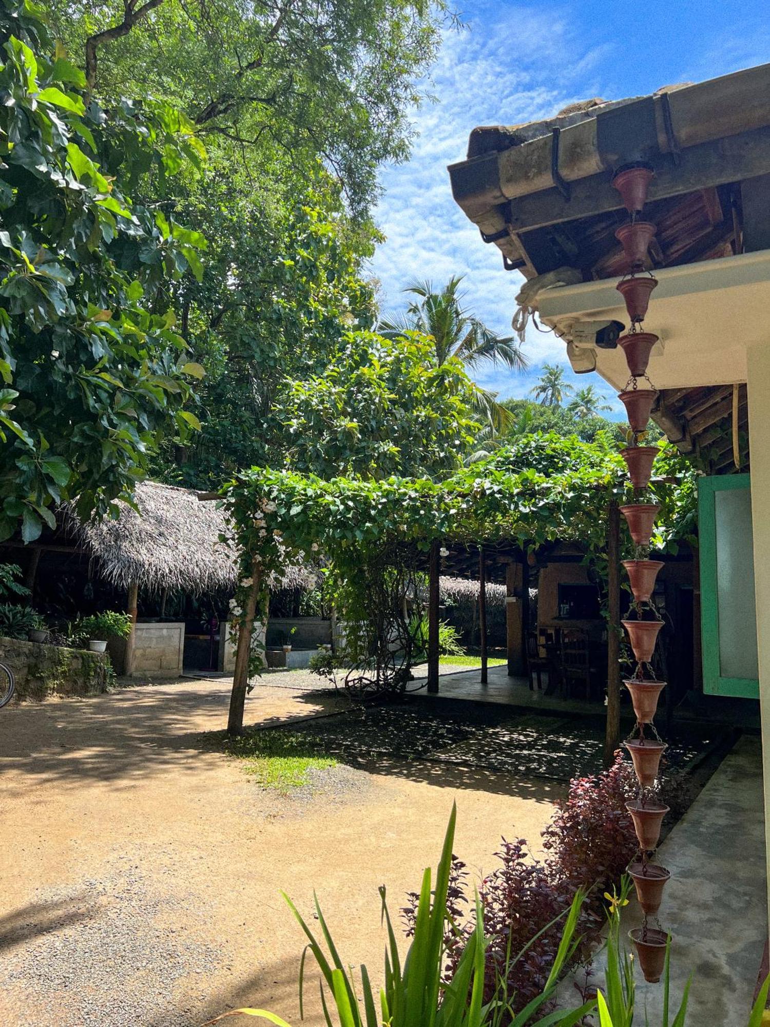 Lazy Monkey Surfhostel - Sri Lanka Dikwella Luaran gambar