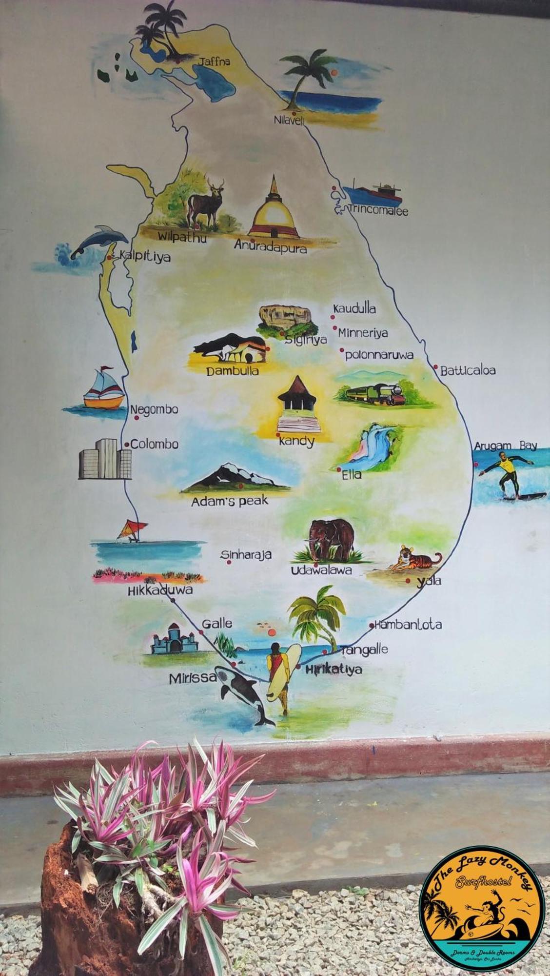Lazy Monkey Surfhostel - Sri Lanka Dikwella Luaran gambar