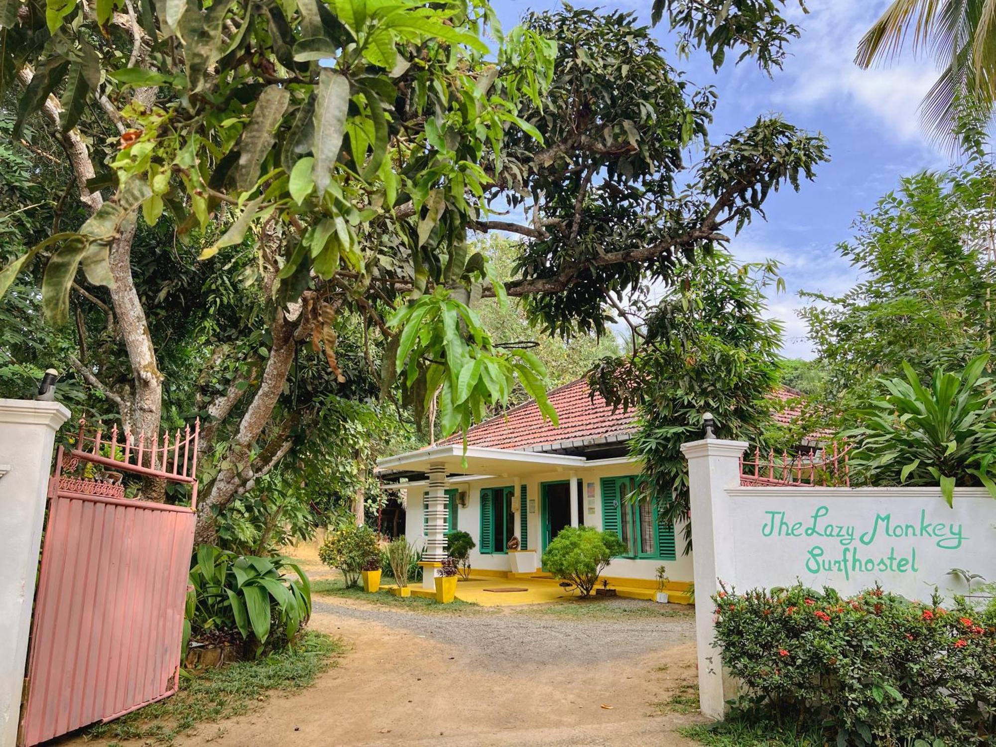 Lazy Monkey Surfhostel - Sri Lanka Dikwella Luaran gambar